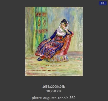 皮耶尔·奥古斯特·雷诺阿