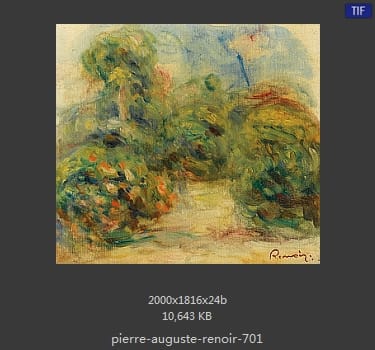 皮耶尔·奥古斯特·雷诺阿