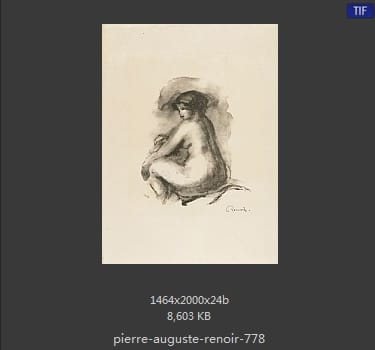 皮耶尔·奥古斯特·雷诺阿