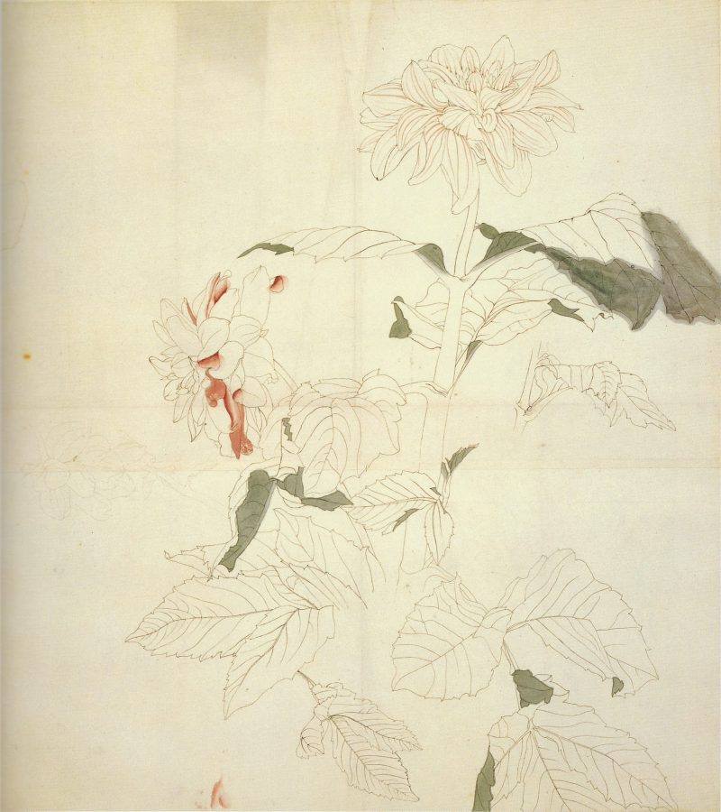 爱光 #25