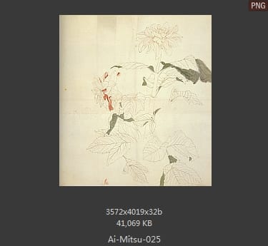 爱光