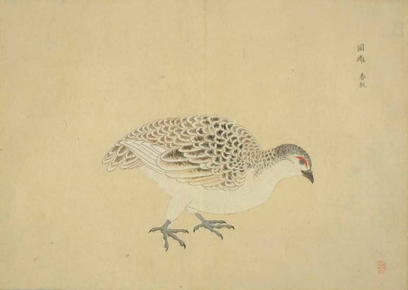 梅园禽谱 #80