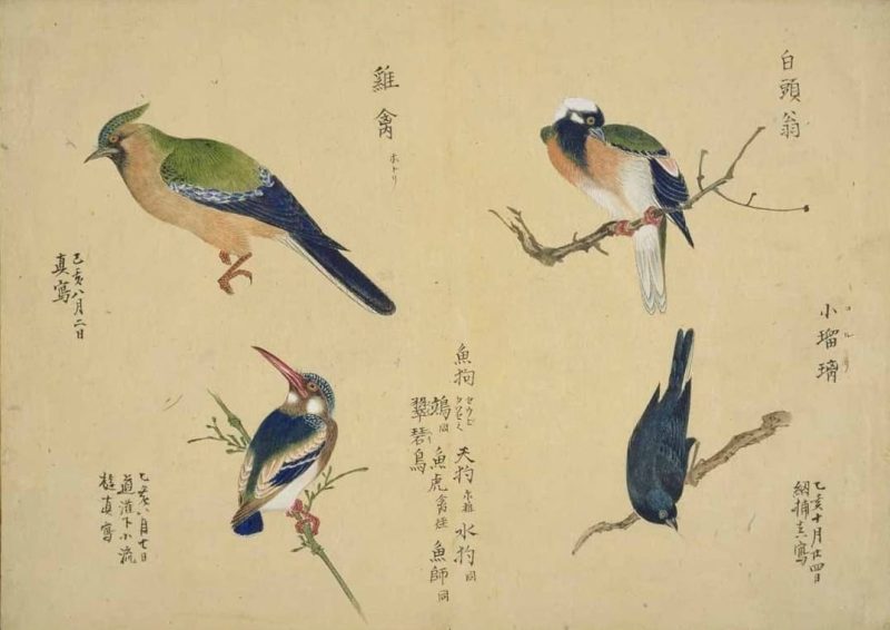 梅园禽谱 #107