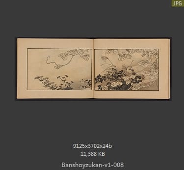 万象图鉴
