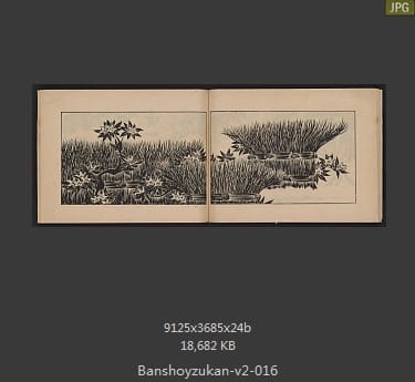 万象图鉴