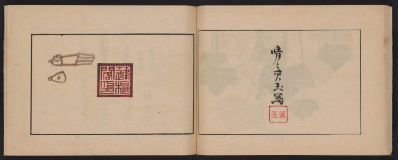 万象图鉴 #19