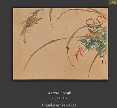 森春溪-肘下选蠕-蝴蝶、昆虫、国画水墨画谱