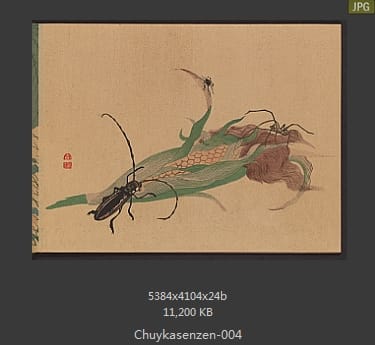 森春溪-肘下选蠕-蝴蝶、昆虫、国画水墨画谱