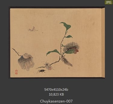 森春溪-肘下选蠕-蝴蝶、昆虫、国画水墨画谱