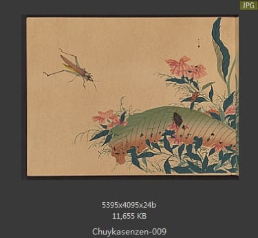 森春溪-肘下选蠕-蝴蝶、昆虫、国画水墨画谱