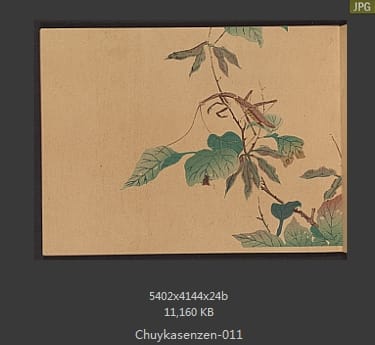 森春溪-肘下选蠕-蝴蝶、昆虫、国画水墨画谱