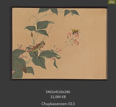 森春溪-肘下选蠕-蝴蝶、昆虫、国画水墨画谱