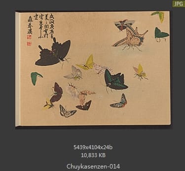 森春溪-肘下选蠕-蝴蝶、昆虫、国画水墨画谱