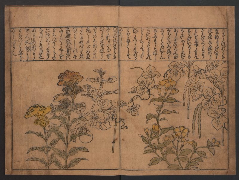 菱川师宣 #117