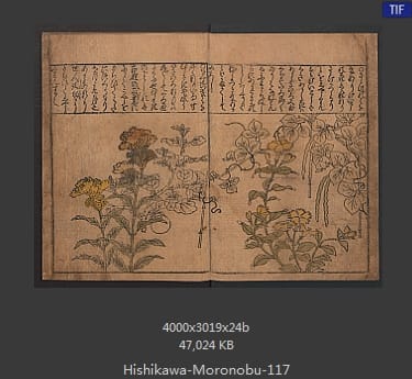 菱川师宣