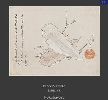 蹄斋北马