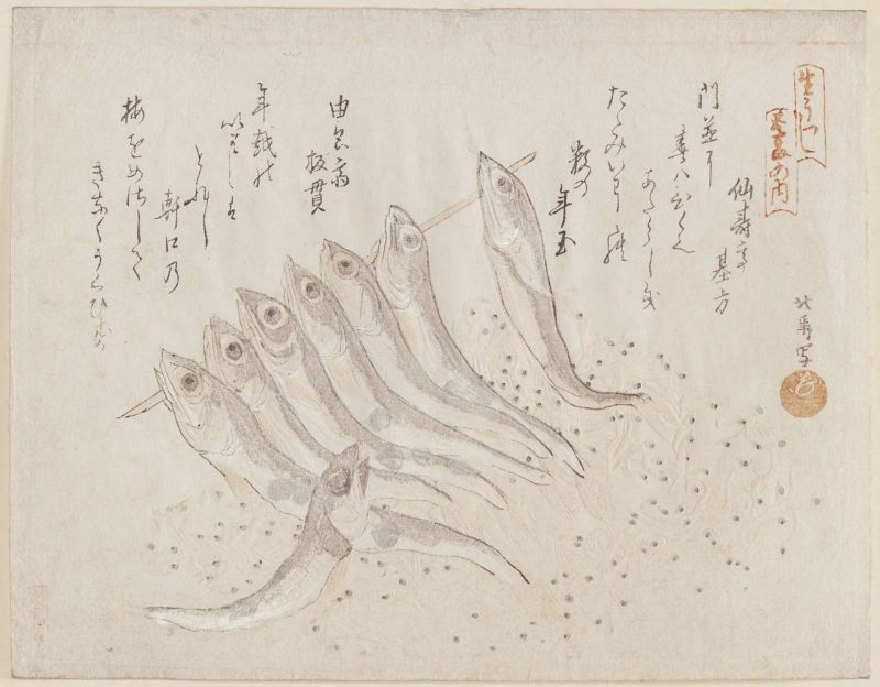 蹄斋北马 #27