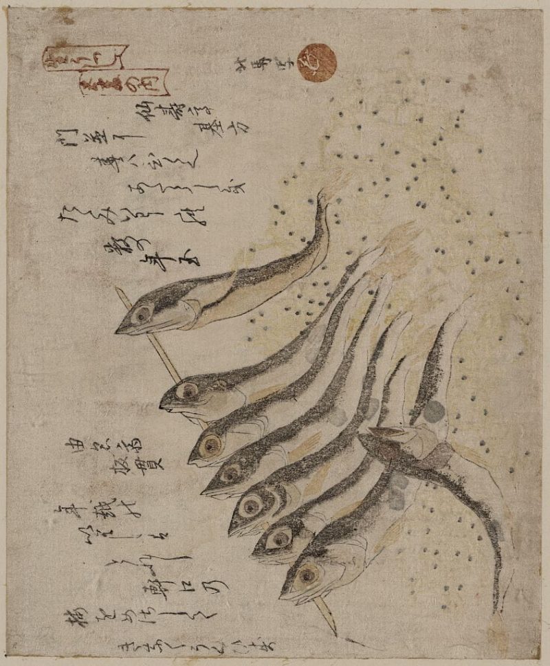 蹄斋北马 #47