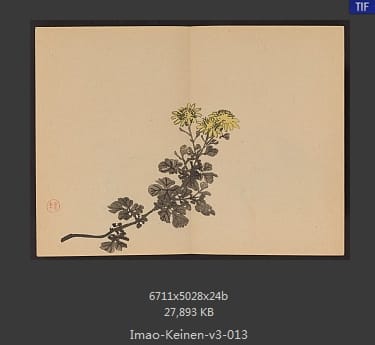 今尾景年