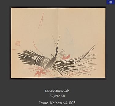 今尾景年