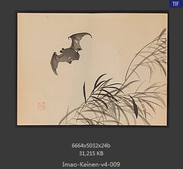 今尾景年