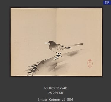 今尾景年
