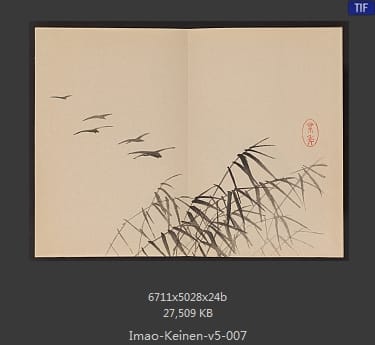今尾景年