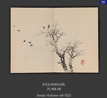 今尾景年