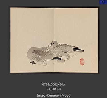 今尾景年
