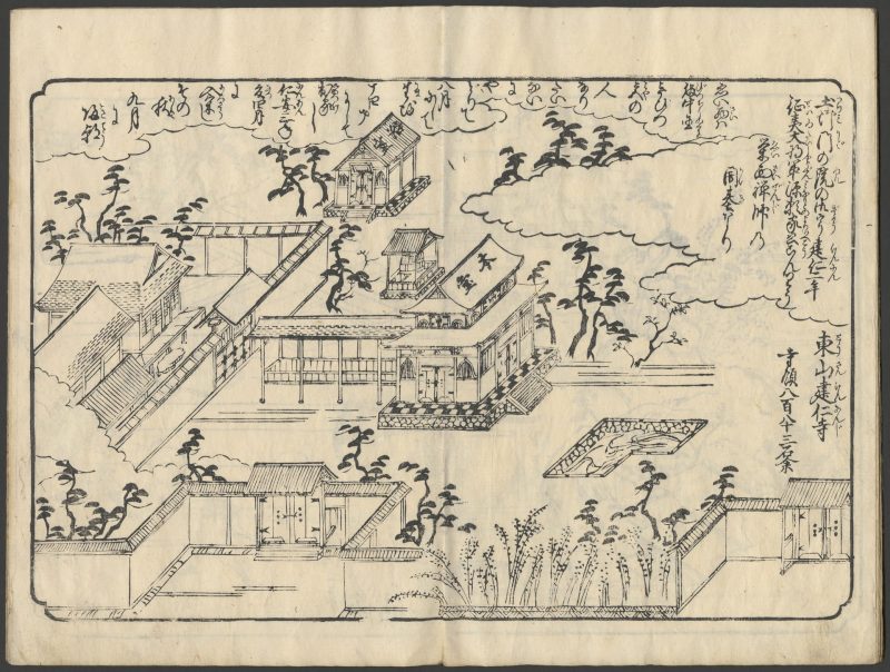 花落细见图 #07