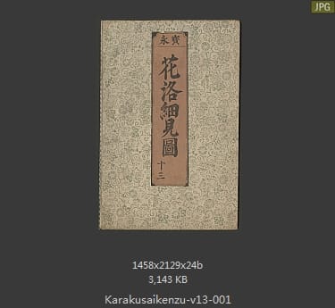 花落细见图