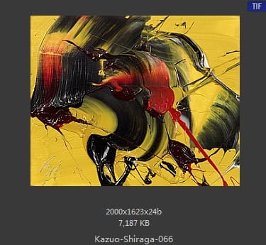 白发一雄
