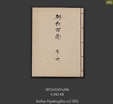 长谷川契花