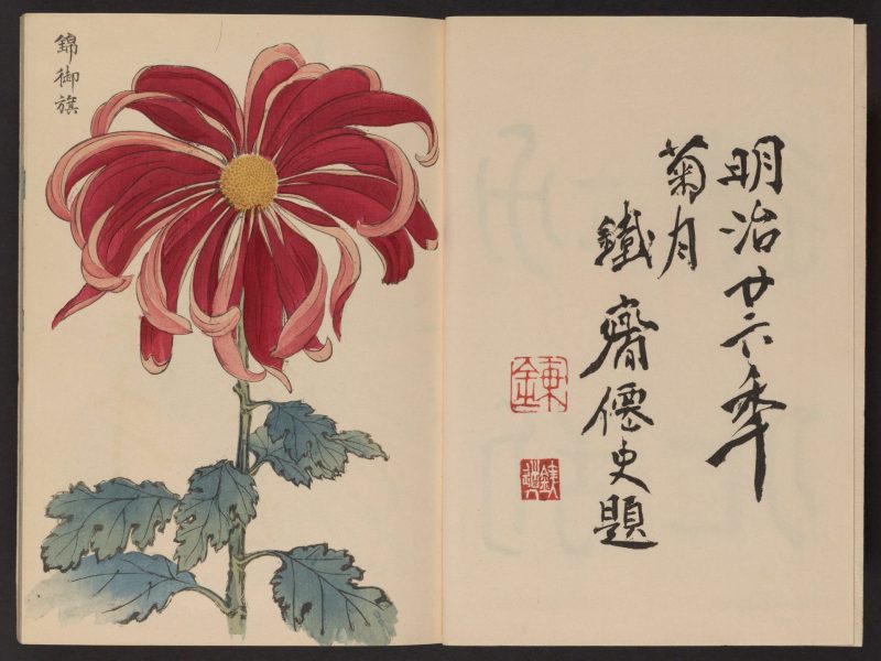 长谷川契花 #03