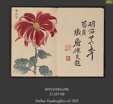 长谷川契花