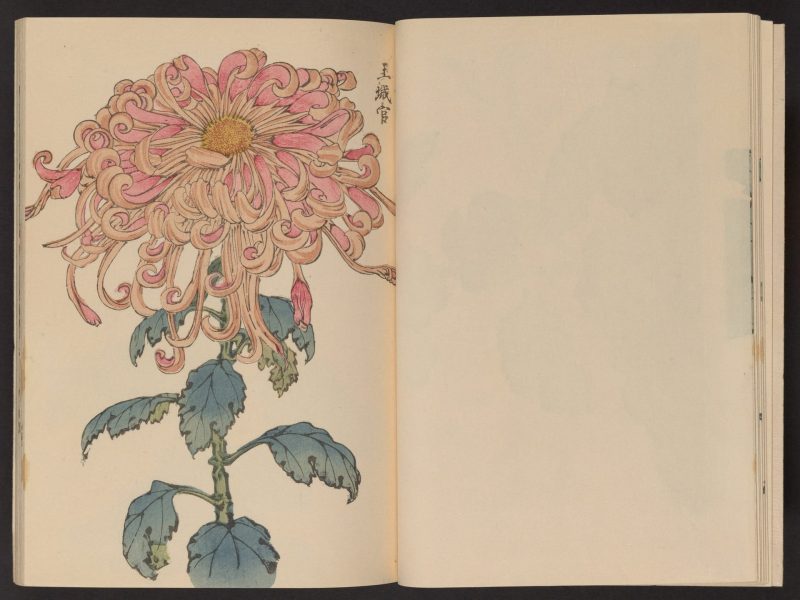长谷川契花 #10