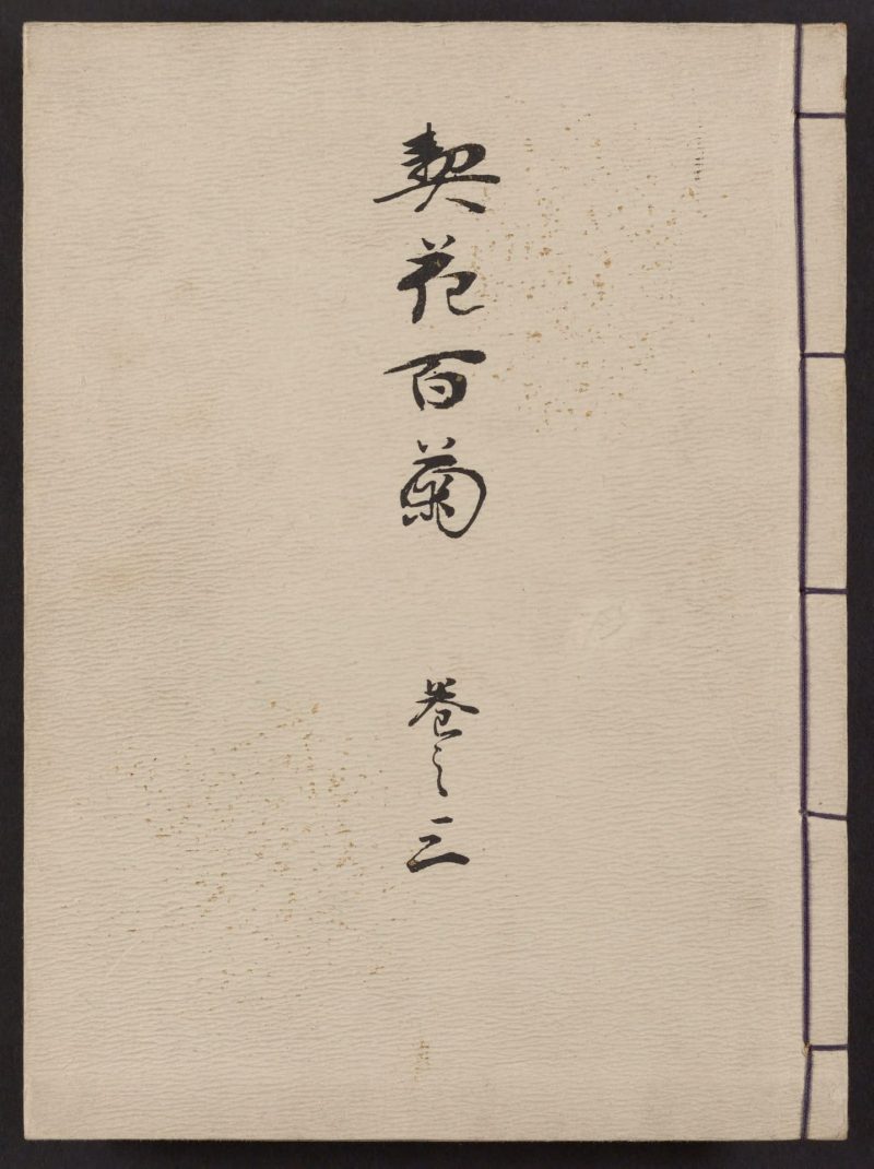 长谷川契花 #01