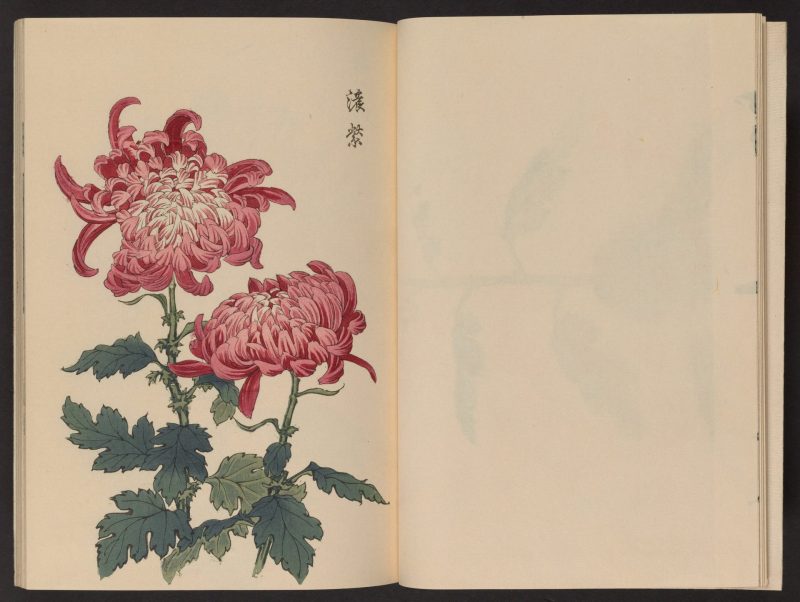 长谷川契花 #08