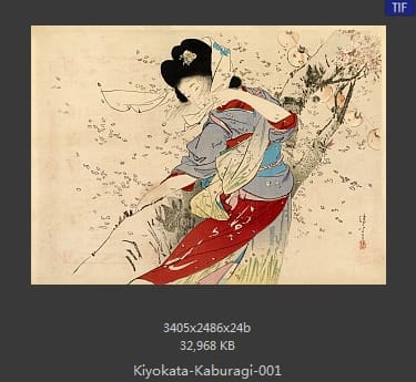 镝木清方