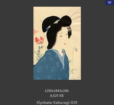 镝木清方