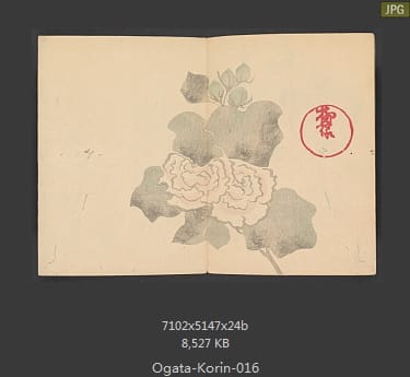 光琳画谱