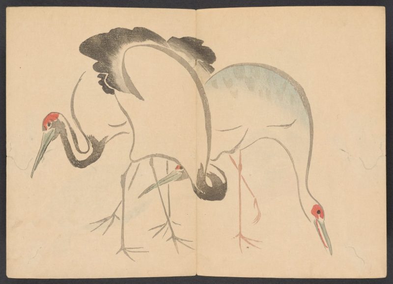 光琳画谱 #14