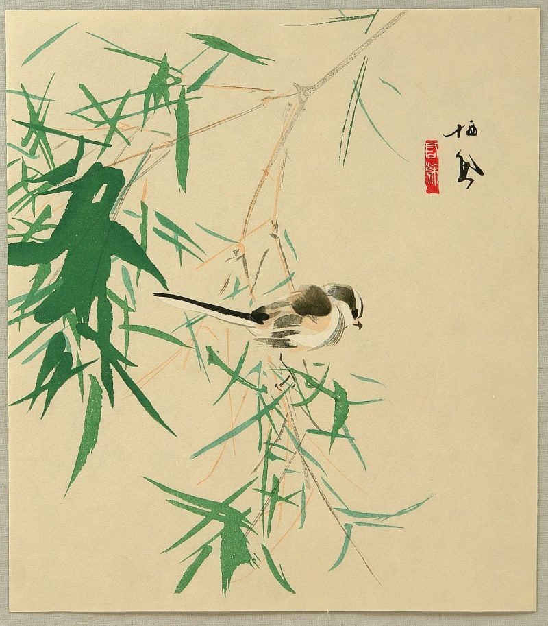 竹内栖凤  #06