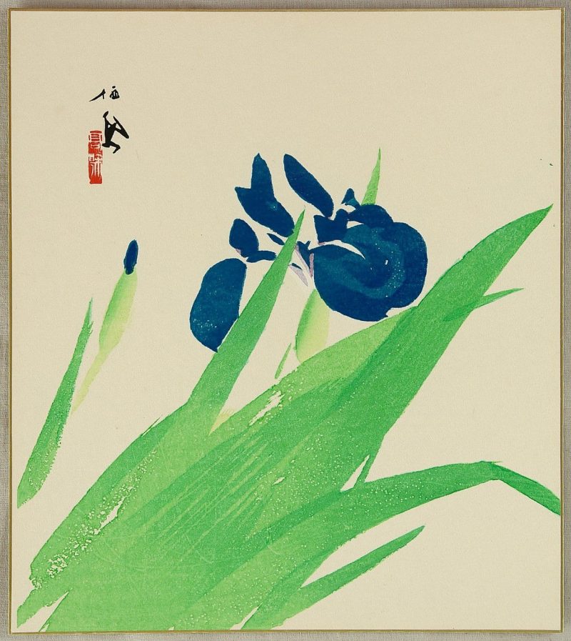 竹内栖凤  #12