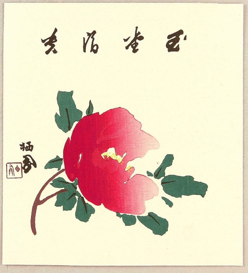 竹内栖凤  #23