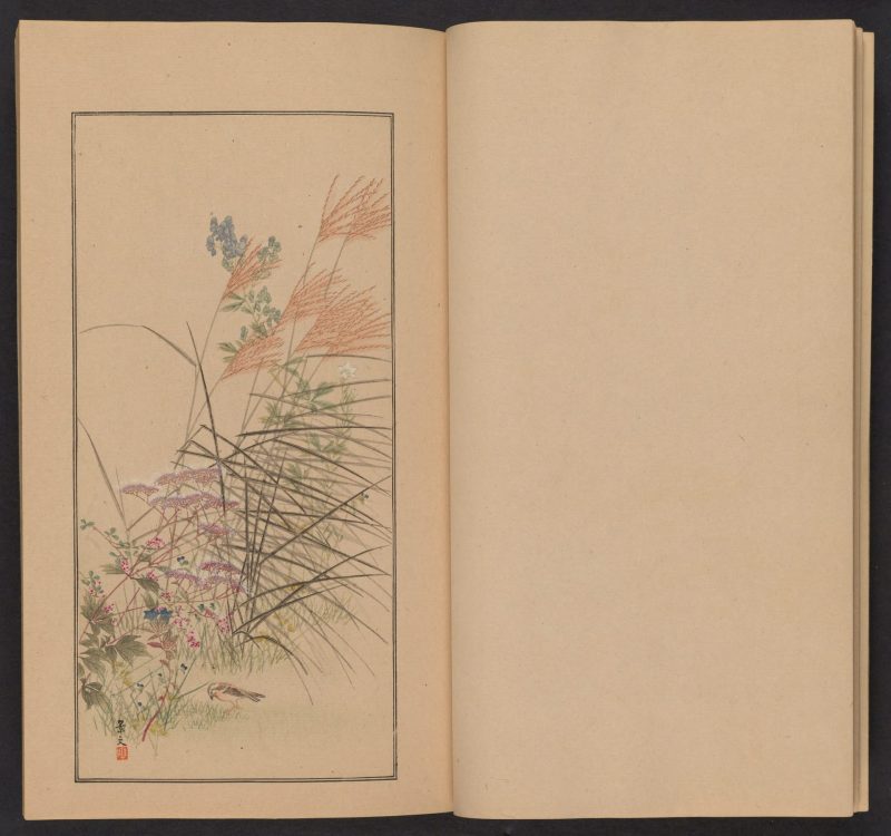 南原作二郎  #10