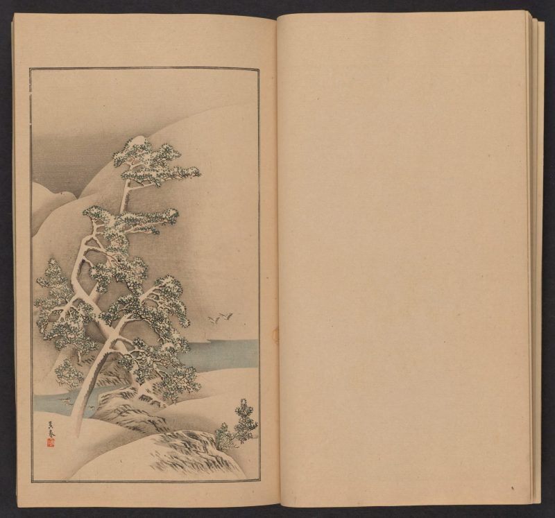 南原作二郎  #12