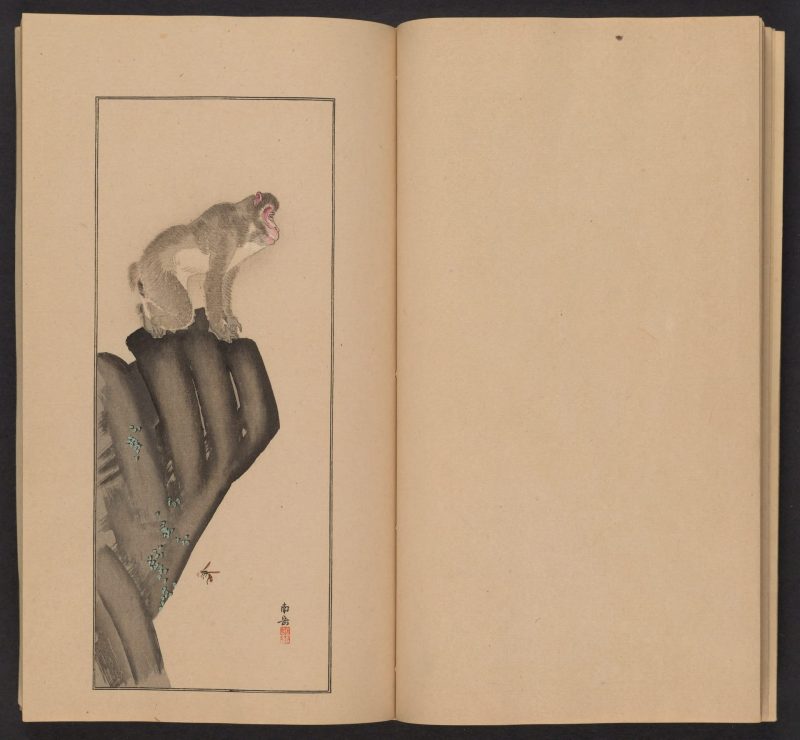 南原作二郎  #15