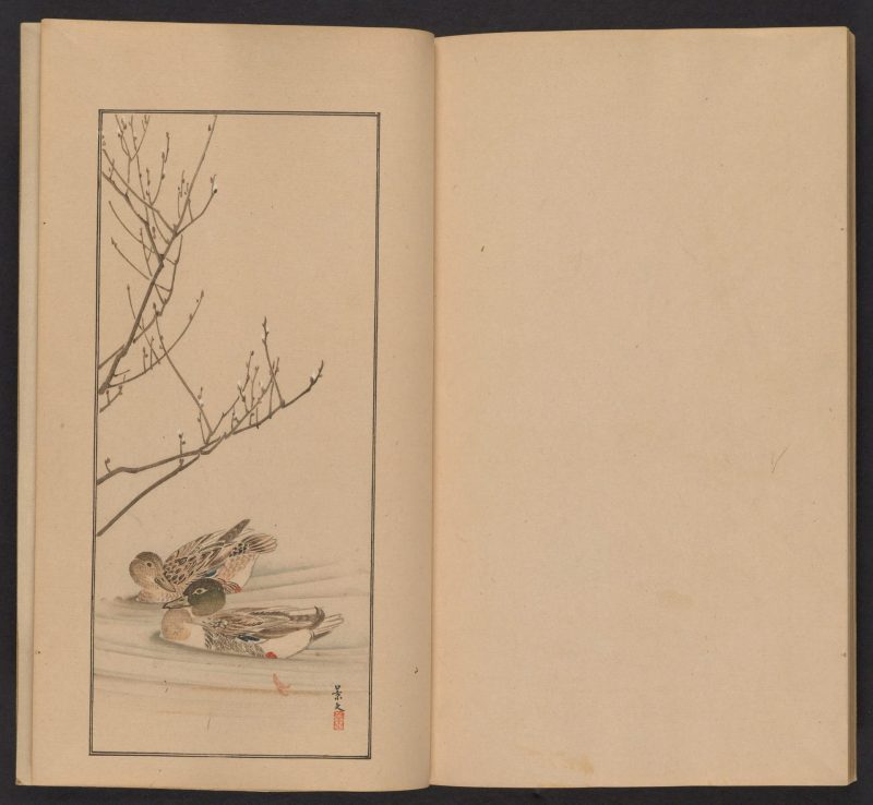 南原作二郎  #32