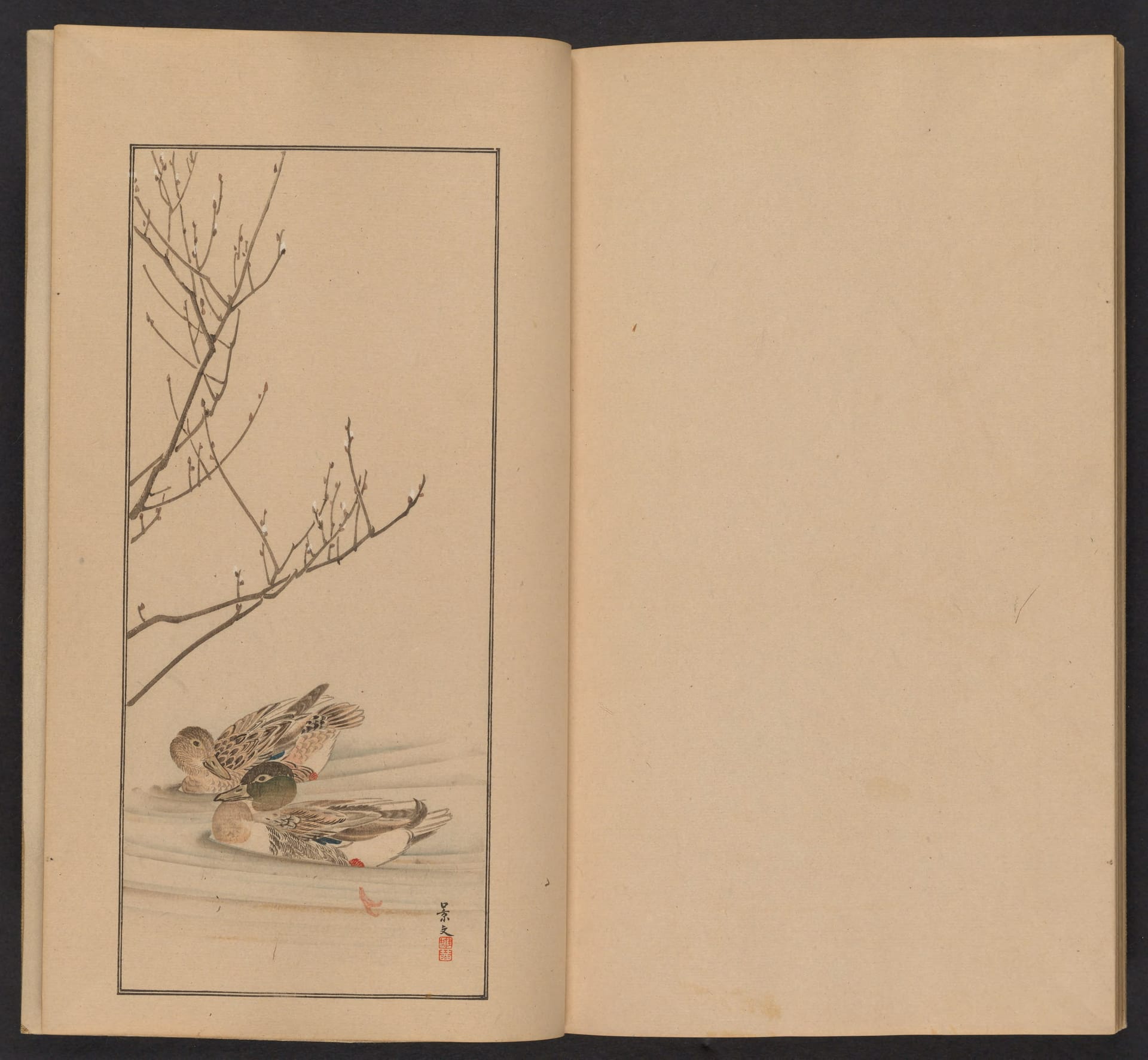 南原作二郎  #32